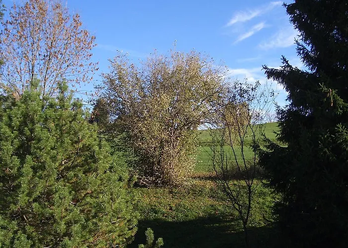 Appartamento Gaestehaus Guggomos 